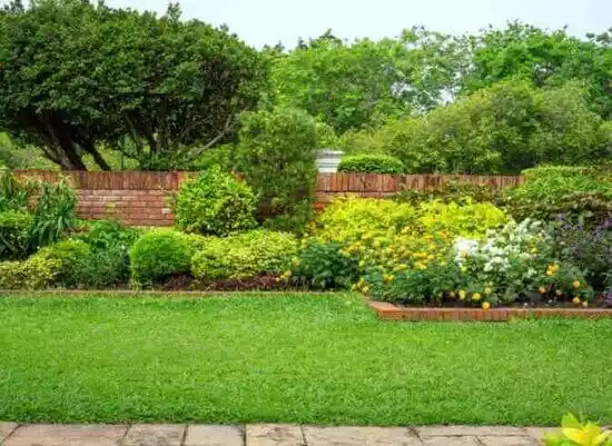 landscaping services Mount Arlington